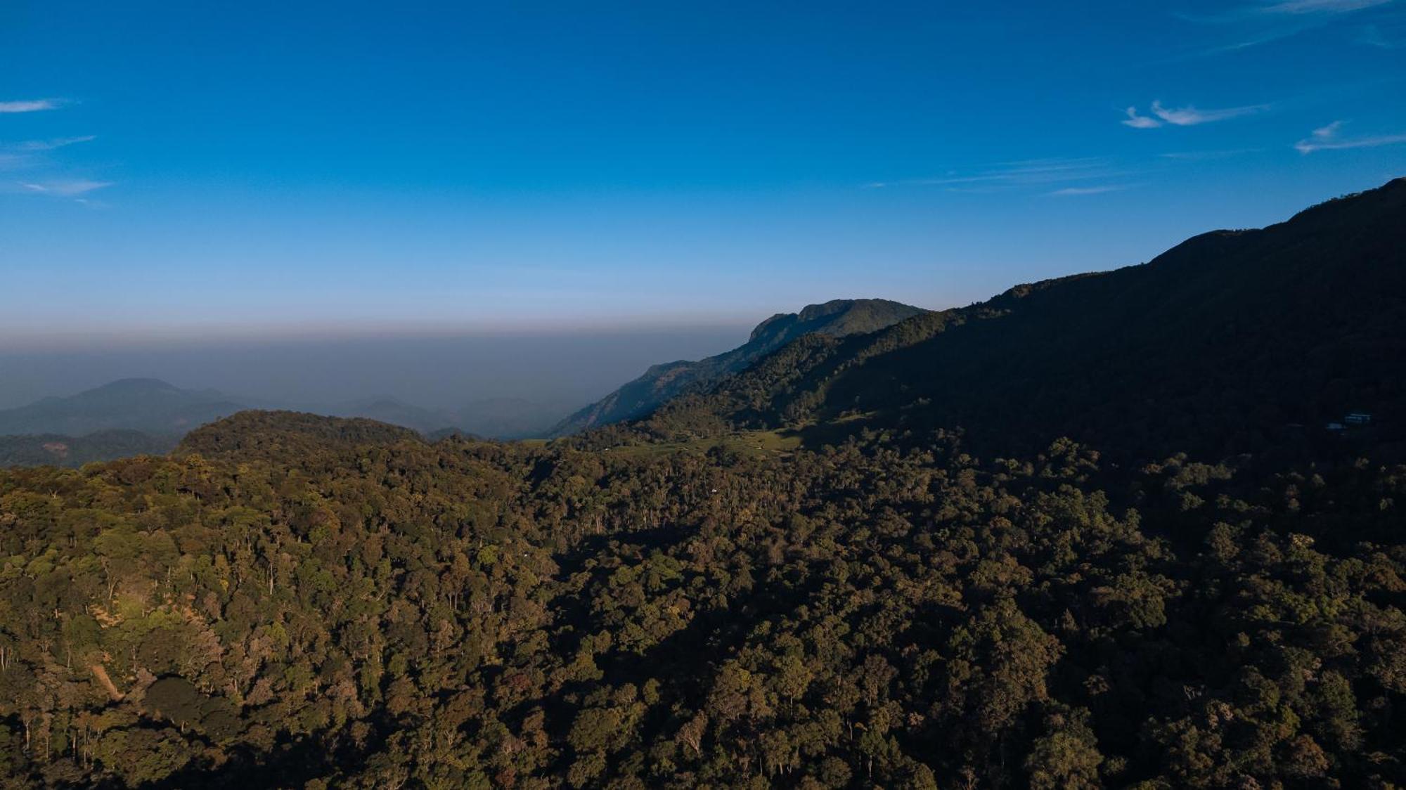 Elixir Woods Luxury Resort And Spa, Munnar Εξωτερικό φωτογραφία